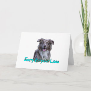 Blue Eyed Merle Cattle Hund Condolence Synoss Loss Kort