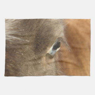 Blue Eyed Mini Horse Filly Kökshandduk