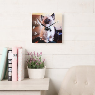 Blue Eyed Siamese Kitten Photograph Fyrkantig Klocka