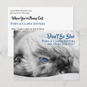 Blue Eyed Siamese Pet Sitters Anpassningsbar Postc Vykort