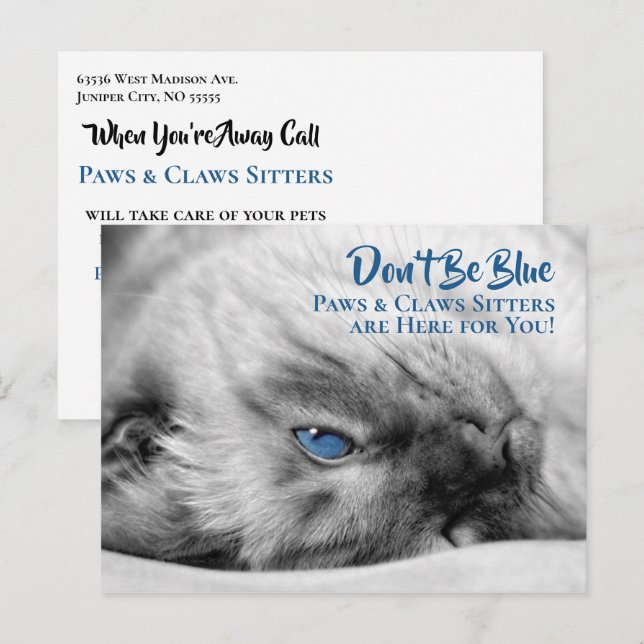 Blue Eyed Siamese Pet Sitters Anpassningsbar Postc Vykort (Fram/baksida)