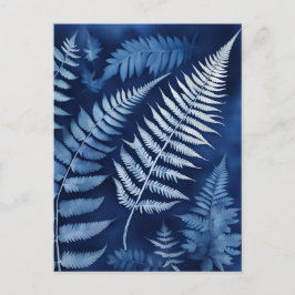 Blue Fern Cyanotype Vykort