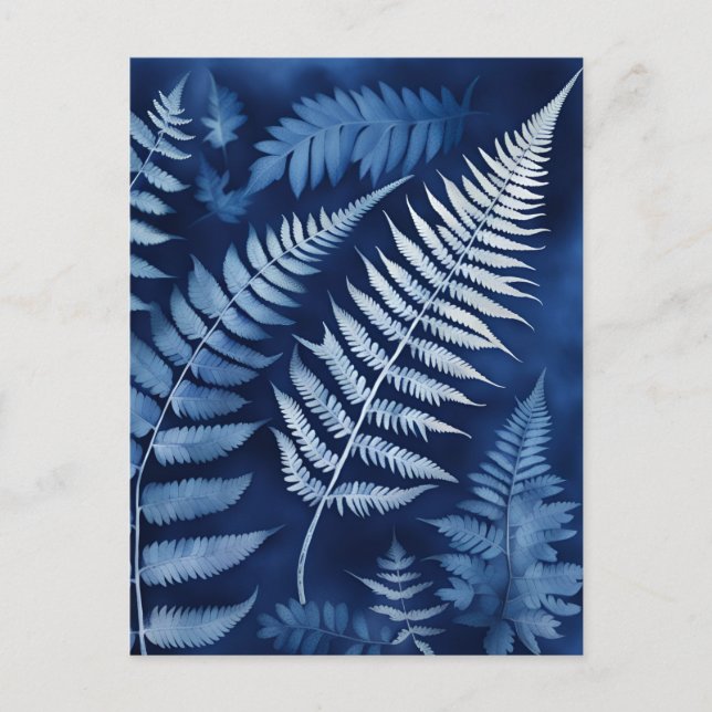 Blue Fern Cyanotype Vykort (Framsida)