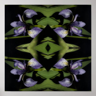 Blue Flagga Iris Flower Abstrakt Poster