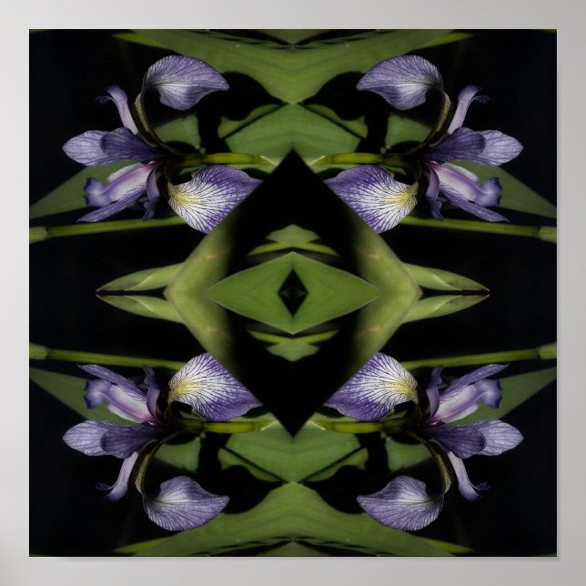 Blue Flagga Iris Flower Abstrakt Poster (Framsidan)