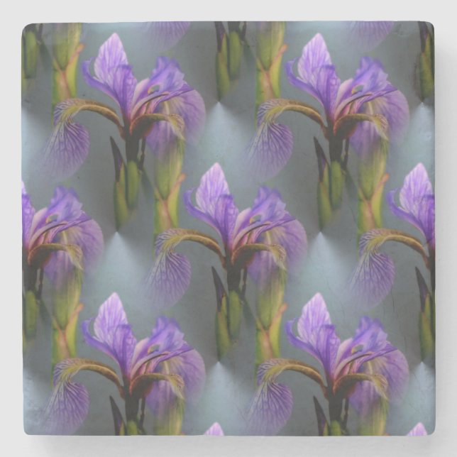 Blue Flagga Iris Flower Natature Art Mönster Underlägg Sten (Framsidan)