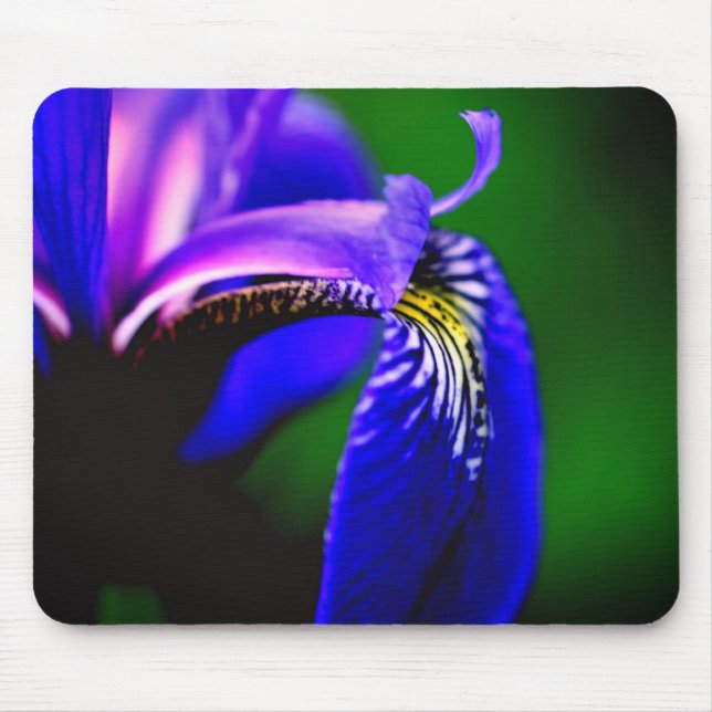Blue Flagga Iris Flower Petal Musmatta (Framsidan)