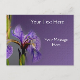 Blue Flagga Iris Flower Vykort