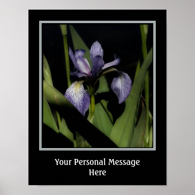 Blue Flagga Iris Skapar din egen offert Poster (Framsidan)