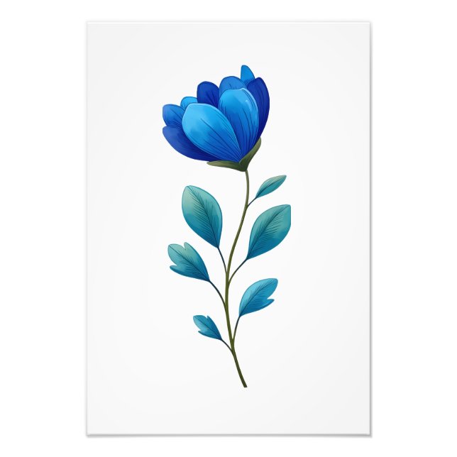 Blue Floral Botanical Illustration  Fototryck (Framsidan)
