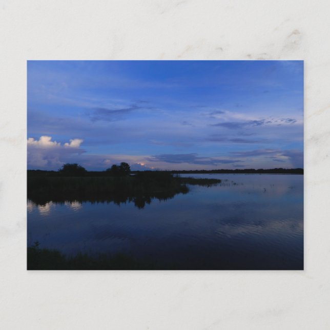 Blue Florida Sunset 201 Vykort (Framsida)