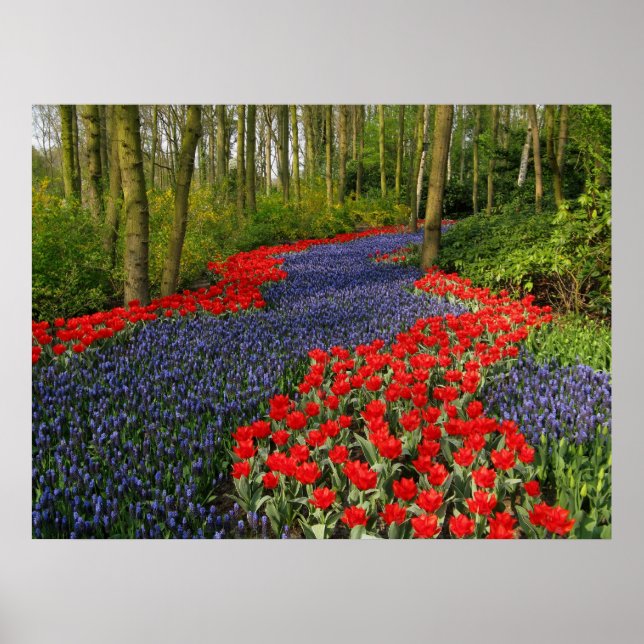Blue Flower Väg Poster (Framsidan)