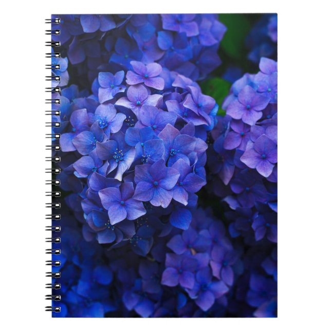 blue flowers anteckningsbok (Framsidan)
