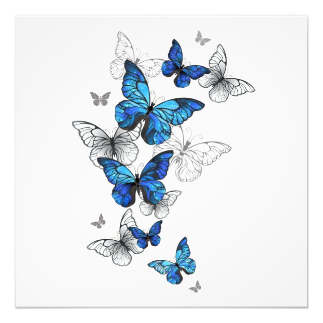 Blue Flying Butterflies Morpho Fototryck (Framsidan)