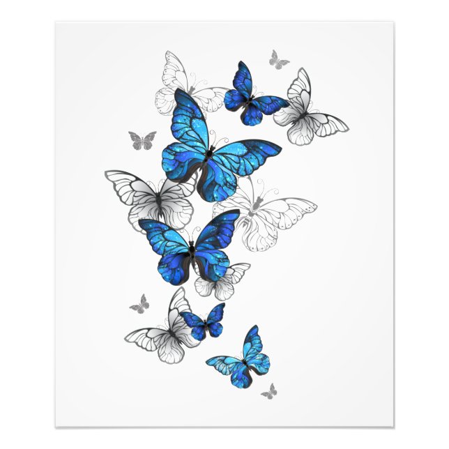 Blue Flying Butterflies Morpho Fototryck (Framsidan)
