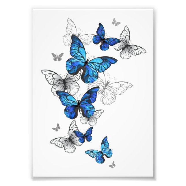 Blue Flying Butterflies Morpho Fototryck (Framsidan)