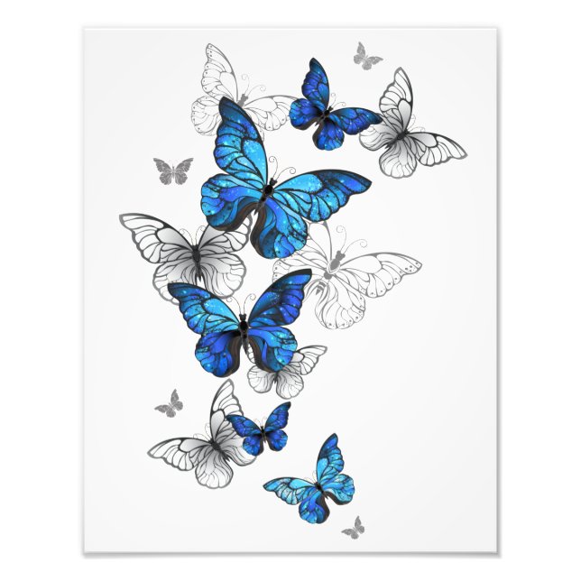 Blue Flying Butterflies Morpho Fototryck (Framsidan)