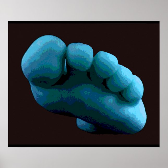 Blue Foot, 2005 Photoshop Art. Poster (Framsidan)