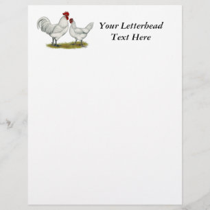Blue Foot Chickens