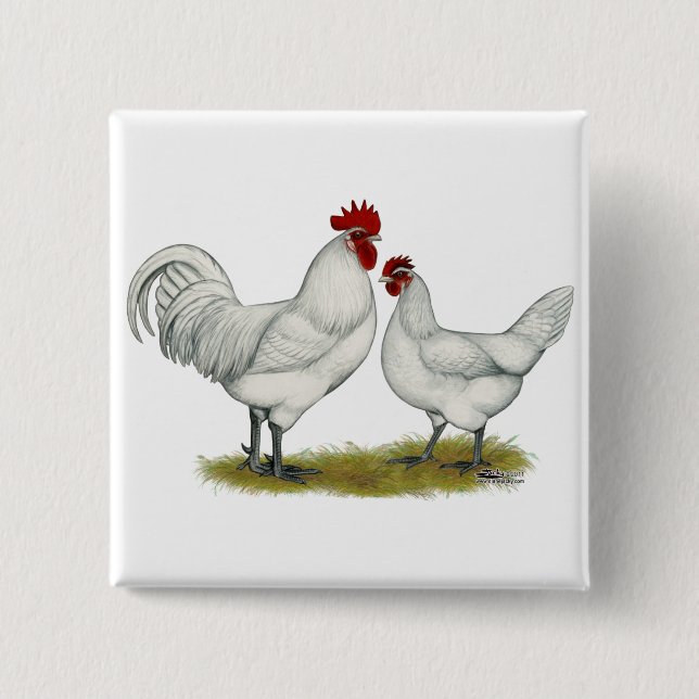 Blue Foot Chickens Knapp (Framsida)