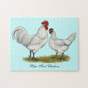 Blue Foot Chickens Pussel