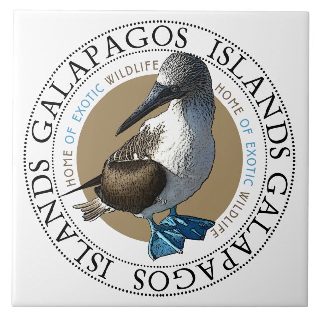 Blue Footed Bird Galapagos Islands Classic Round Kakelplatta (Framsidan)
