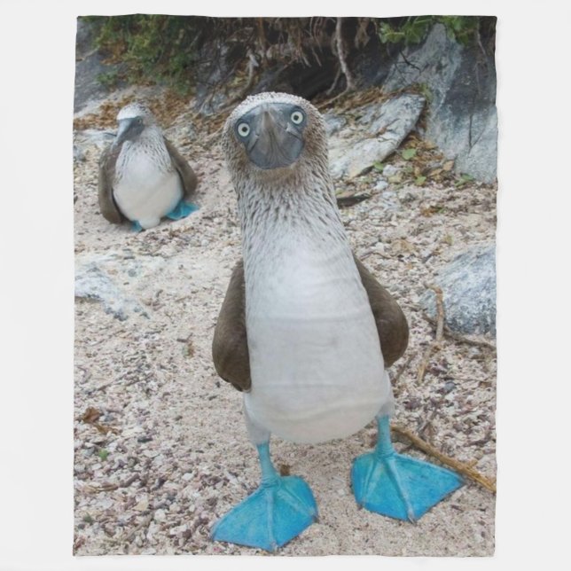 BLUE FOOTED BOOBY (ÄN, det är namn) Fleecefilt (Framsidan)