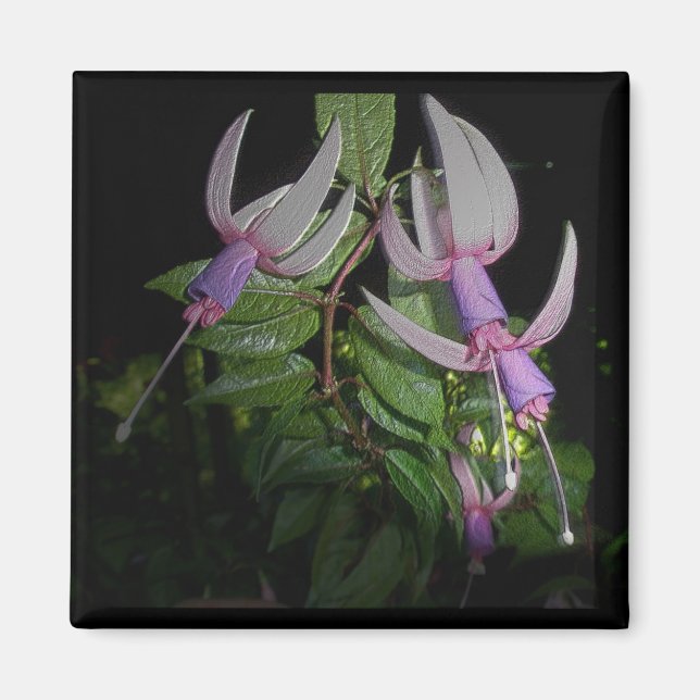 Blue Fushia Magnet (Framsidan)