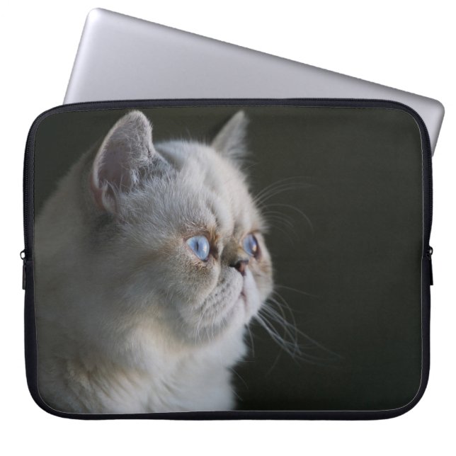 BLUE GAZE LAPTOP FODRAL (Framsidan)