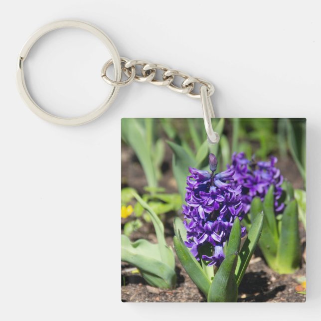 Blue Geocint i vår (Framsidan)