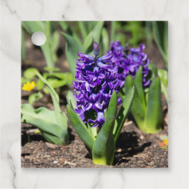 Blue Geocint i vår Gåvor Etiketter