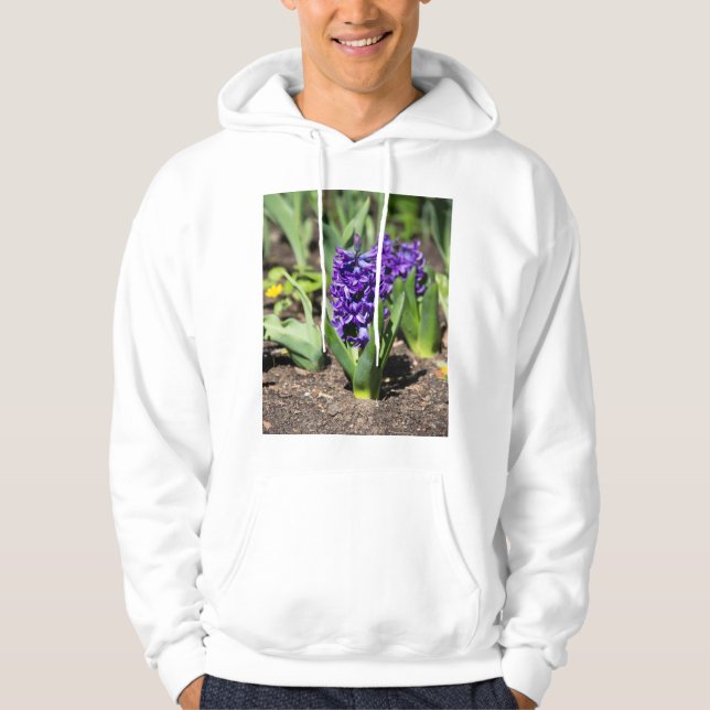 Blue Geocint i vår Hoodie (Framsida)