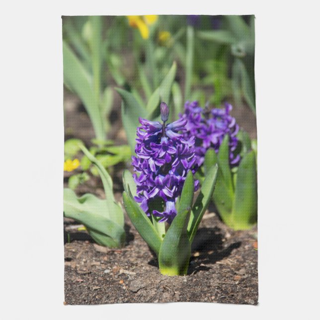 Blue Geocint i vår Kökshandduk (Vertikal)