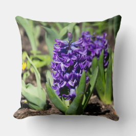 Blue Geocint i vår Kudde