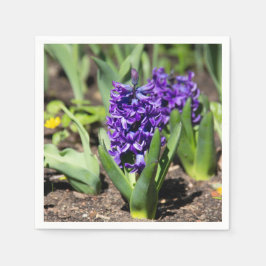 Blue Geocint i vår Pappersservett