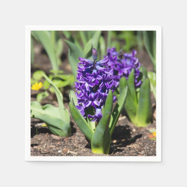 Blue Geocint i vår Pappersservett (Framsidan)