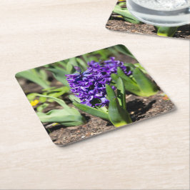 Blue Geocint i vår Underlägg Papper Kvadrat