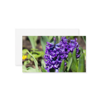 Blue Geocint i vår Visitkort