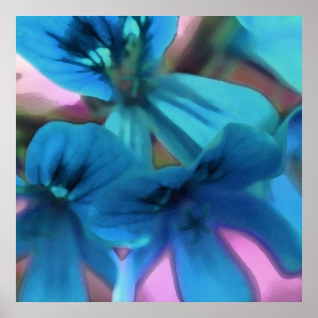 Blue Geraniums Poster (Framsidan)