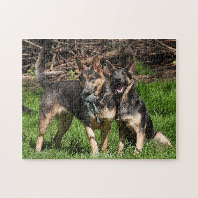 Blue German Shepherd Duo Pussel (Horisontell)
