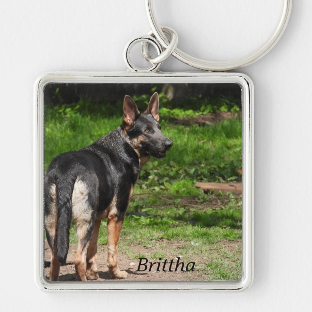 Blue German Shepherd Fyrkantig Silverfärgad Nyckelring (Framsidan)