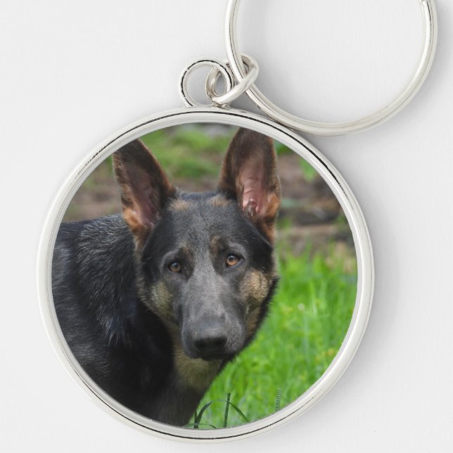Blue German Shepherd Hund Rund Silverfärgad Nyckelring (Framsidan)