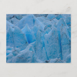 Blue Glacier Vykort