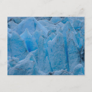 Blue Glacier Vykort