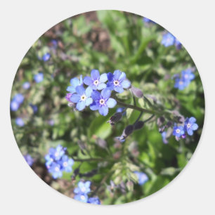Blue Glöm mig inte att inte sätta fingrar Runt Klistermärke