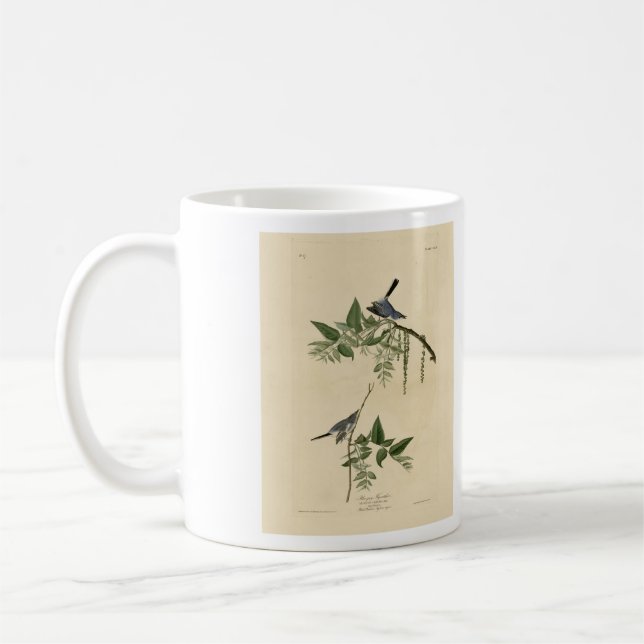 Blue-Grått Fly-catcher - Audubon's Birds of Americ Kaffemugg (Vänster)