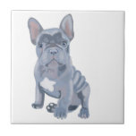 Blue Grått Fransk Bulldog Puppy Kakelplatta<br><div class="desc">Den här söta och färglösa keramiska plattan har min teckning på en söt blå grått Fransk Bulldog-valp på vit bakgrund. En underbar gåva till en frenchie älskare och en ovanlig underlägg till ett kaffe bord.</div>