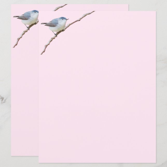 Blue-Grått Gnatcatcher Bird på Rosa Stationery (Fram/baksida)
