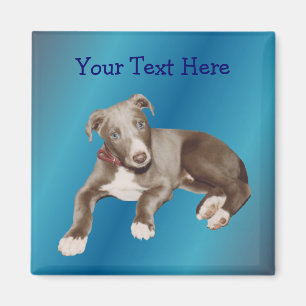 Blue Greyhound Puppy Magnet
