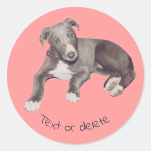 Blue Greyhound Puppy Personlig Runt Klistermärke